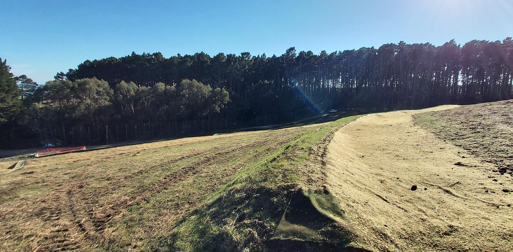 rehabilitating-colson-road-landfill-with-grassroots-casestudy-img1