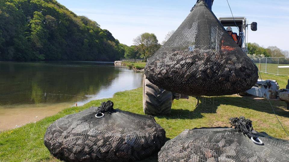 stabilising-river-banks-from-erosion-with-aquarockbag-case-study-1690X831.jpg